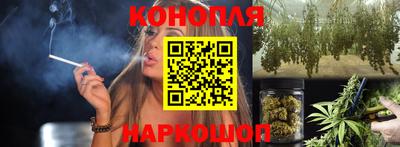 сатива Малгобек