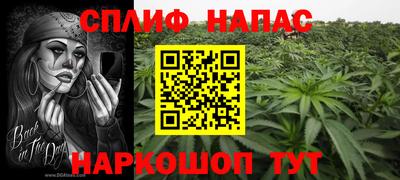 Альфа ПВП Малоярославец