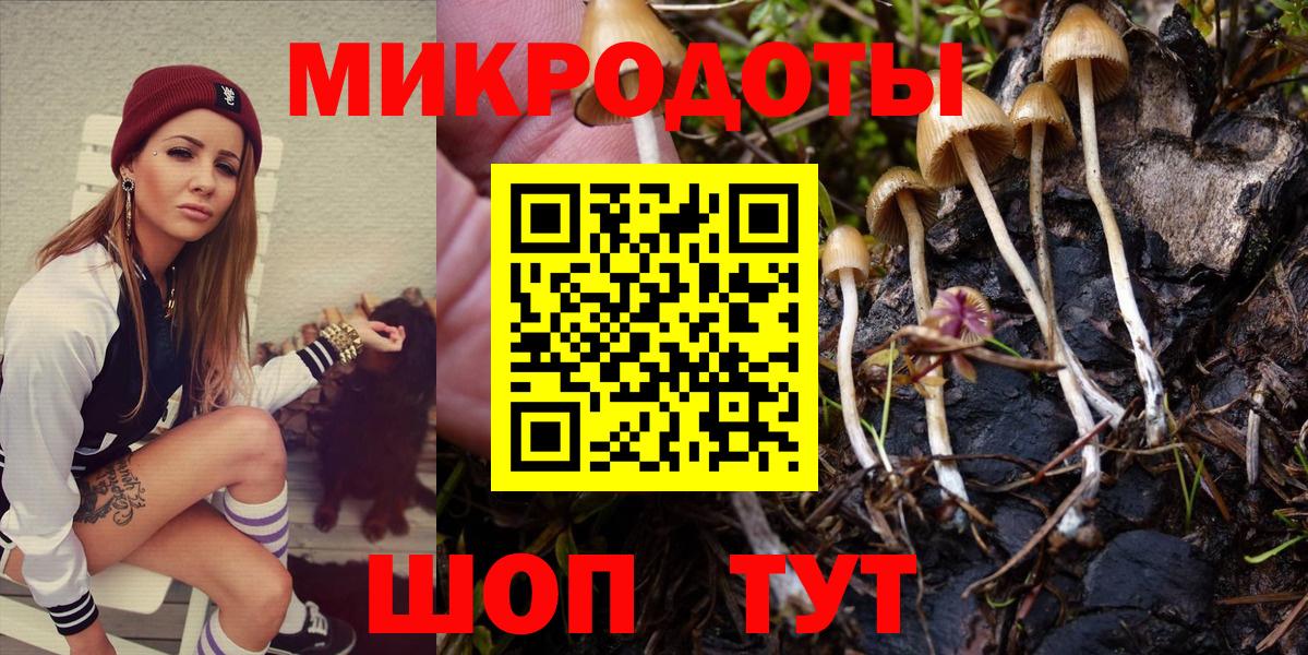 Псилоцибиновые грибы Psilocybine cubensis  Вход с VPN  Елец 